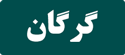 رزرو تاکسی بین شهری تهران گرگان